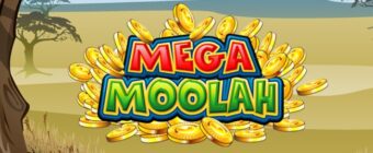 mega moolah casivo